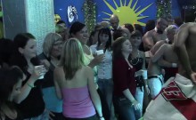 Slutty Vixens Pleasure Cocks At A Party